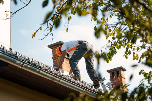 Quick and Trustworthy Emergency Roof Repair Services in Edgemont Park, MI