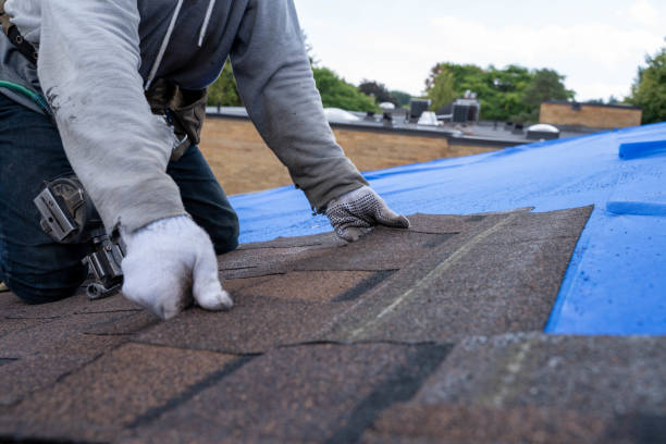 Tile Roofing Contractor in Edgemont Park, MI