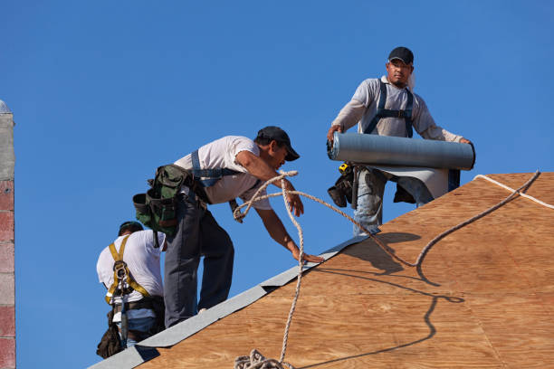 Best Emergency Roof Repair  in Edgemont Park, MI