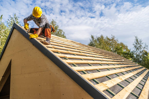 Roof Gutter Cleaning in Edgemont Park, MI