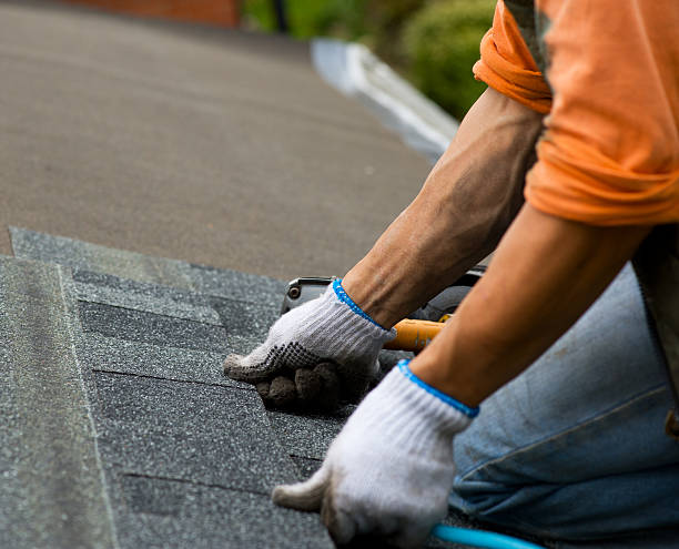 Best Roof Waterproofing Services  in Edgemont Park, MI